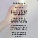 감씨가 시집가는 날 이미지