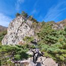 11/8(토) 에베로릿지, 쓰리랑릿지, 아리랑릿지 이미지