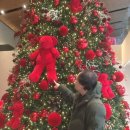 영인식당 이미지