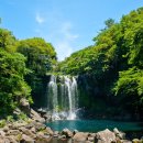 천제연폭포 이미지