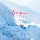 만항재 | 강원도 겨울 여행지 만항재 설경 후기