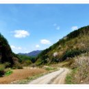 원주굽이길 14코스 용소막성당길 이미지