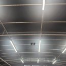 타히티모텔 | [타히티 보라보라 1일차]인터컨티넨탈 탈라소 라군뷰, 카약, 스노쿨링 야경