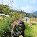 청룡사지길 | 명절 연휴에 가볼만한 충주 소태면 느티나무 카페