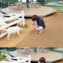 한태목장 네이버블로그