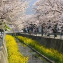 덕산성당 앞 이미지