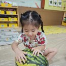 🎈알찬반 🍉오감:)수박으로 놀아요🍉 이미지