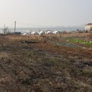 가이아공인중개사사무소 이미지