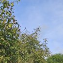 백두농장 이미지