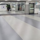 빅토리태권도 이미지