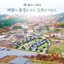 제니스애드 - 25674 | 제니스애드