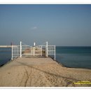 바우길 12구간 이미지