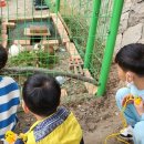 서산초등학교 서울뉴스통신
