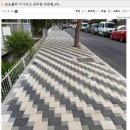 877004 이미지