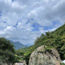 산청군농협본점하나로마트 이미지