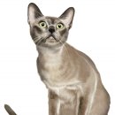 니즈스토리 이미지