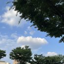 블루페퍼안경원 | 블루페퍼 안경 망원점: 망원동 가성비 갑 학생 안경, 선글라스 추천