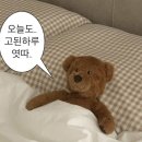 곰돌이포차 이미지