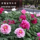 강철농장 이미지