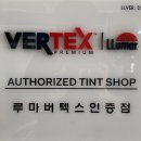 탑 클래스 모터스 이미지