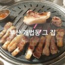 괘법동 그집 이미지