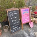 썬댄스 | 창원 '썬댄스' 카페 조식뷔페 내돈내산 후기 예쁜 브런치 제대로 즐기기