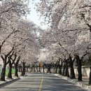 성모365의원 이미지