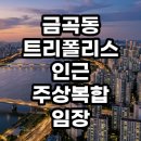 탄천 커뮤니티복합주거시설 | 분당 금곡동 트리폴리스 인근 주상복합 임장 후기 수익성과 실거주 가치 총정리