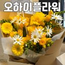 호수피드 | 2동탄 꽃집 추천 :: 호수공원근처 꽃다발 화분 선물하기 좋은 오하이플라워