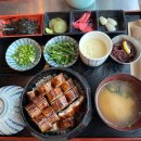 생명의 바다 1.2 이미지