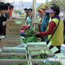 하늘도 반기는 4·27 남북정상회담 /철쭉단지 내 철쭉꽃들이 화려한 꽃망울을 터트려 /남해안 양식업계 '시름'… " 어민 살릴 대책 시급" /광장 밝힌 봉축탑 이미지