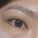 보보스프라자 | 뉴트럴톤 렌즈 추천 뉴트럴무드 원데이 브라운 렌즈 보보스안경 위드렌즈 경기의정부점