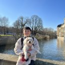 참깨나라식당 이미지