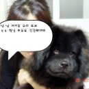 깜시