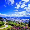 스타인호텔 | vietnam (베트남) = [스타인 달랏] 나트랑 출발 달랏...가이드+시내호텔픽업드랍무료+간식제공) = 마이...