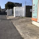 서귀동-31 이미지