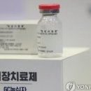 성모녹십자