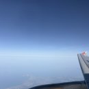 책닦는남자 | 제주 여행 Day1: 모찌마루 - 함덕 해수욕장 - 도토관 - 창꼼 - 모알보알 - 톰톰카레 - 책닦는 남자