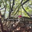 안평 | 대만 가오슝 타이난여행 반나절 코스 안평노가 안평고보 안평수옥 후기