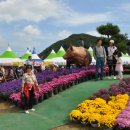 제8회 철마한우불고기축제(2013.10.3) 이미지