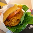 수원-1013 | 수원 버거 맛집 치킨 어니언링이 맛있는 달빛