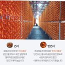 용   설 | (설 명절 선물 추천)상주 으뜸 곶감 건시 설선물 가격, 포장, 후기, 곶감효능, 부작용