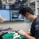 스퀘어치과의원 | 앞니살짝깨짐 그냥 두면 안 되는 이유, 치과의사가 알려드립니다