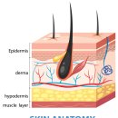 타임피부과의원 이미지