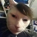 아이러브유(I.LOVE.YOU) 이미지