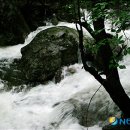 소백산자락길 제7코스 이미지