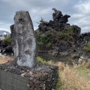 코지부호 이미지