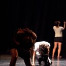 가리온현대무용단 이미지