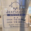 딥마리(deepMary) 이미지