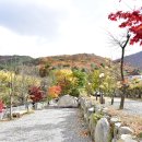 올래 캠핑장 이미지